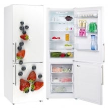 Vinyle décoratif fruits pour décorer les réfrigérateurs