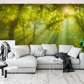 Peintures murales de vinyle arbres dans la forêt