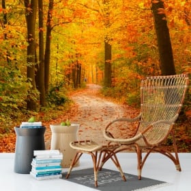 Murales de vinyle arbres en automne