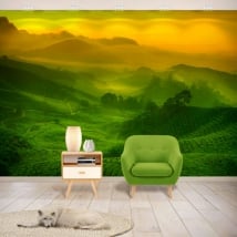 Murales de vinyle plantation de thé de malaisie