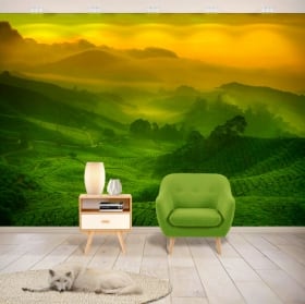 Murales de vinyle plantation de thé de malaisie