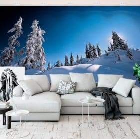 Murales de vinyle pins dans la neige