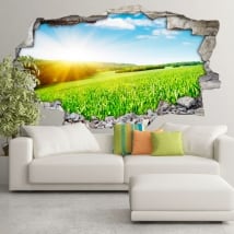 Vinyle 3d coucher de soleil sur le terrain