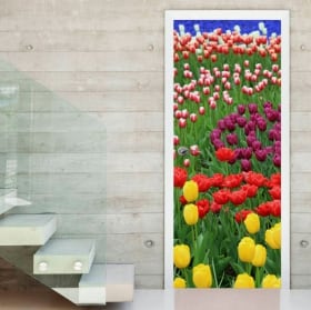 Vinyle les portes des fleurs tulipes color&eacute;es