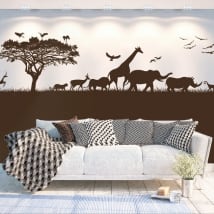 Vinyle décoratif afrique