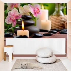 Peintures murales de vinyle avec un style r&eacute;tro pour d&eacute;corer
