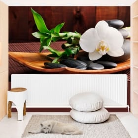 Peintures murales de vinyle jardin avec des fleurs