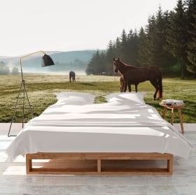 Papiers peints en vinyle cheval blanc