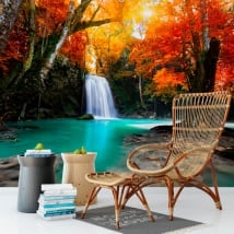 Murales de vinyle cascade et arbres en automne