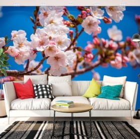Papiers peints fleur de cerisier japonais