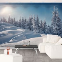Papiers peints en vinyle coucher de soleil en hiver