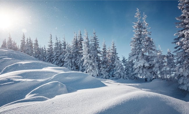 🥇 Papier peint dessin de paysage de forêt enneigée bleue 🥇