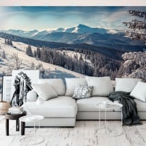 Papiers peints en vinyle paysage avec montagnes enneigées