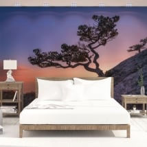 Papiers peints en vinyle arbre et coucher de soleil