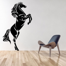 Vinyles décoratifs et autocollants cheval