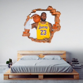 Vinyles 3d basket lebron james nba