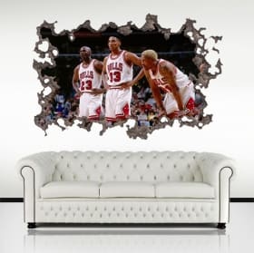 Vinyles 3d joueurs de basket-ball chicago bulls