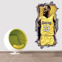 Vinyles 3d basket lebron james nba
