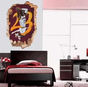 Vinyles 3d lebron james nba