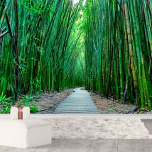Papier peint ou peinture murale de chemin de paysage de forêt de bambous zen