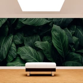 Papier peint laisse des d&eacute;tails de plantes dans des tons verts