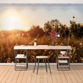 Papier peint ou murale paysage champ de fleurs au coucher du soleil