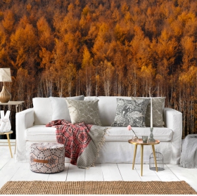 Papier peint horizontal paysage arbres forêt automne décoration