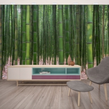 Papier peint décoration forêt de bambou zen vert