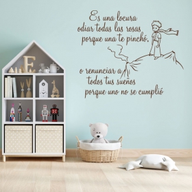 Vinyles décoratifs phrase le petit prince